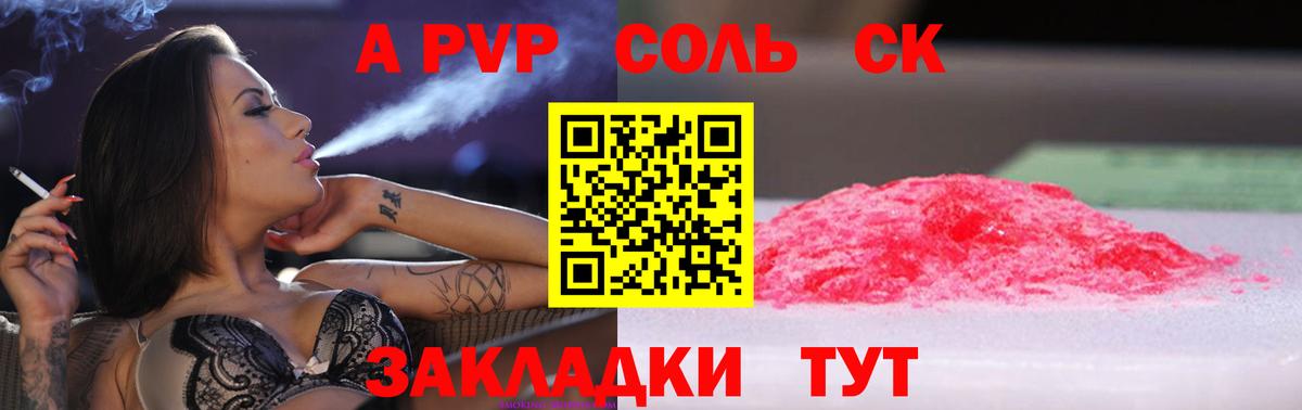 Alfa_PVP СК Кисловодск