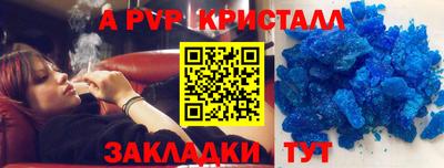 apvp Гусев