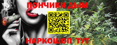 apvp Гусев