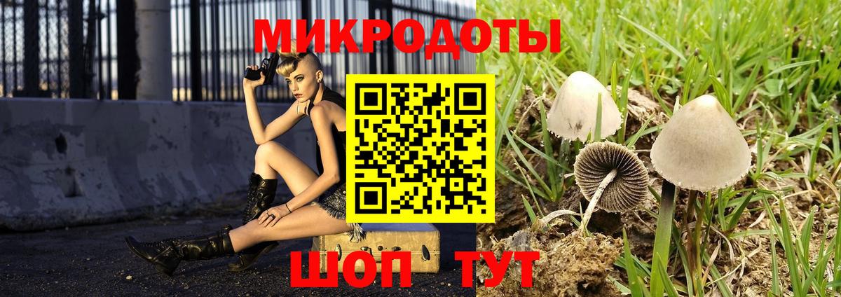 Псилоцибиновые грибы мицелий  Вход с VPN  Кисловодск 
