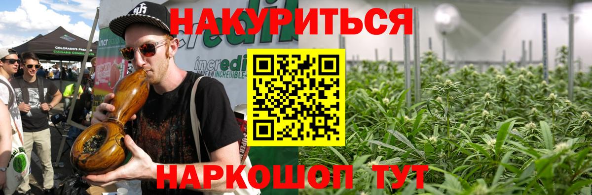 Бошки Шишки MAZAR  Вход с VPN  МАРИХУАНА тримм  Кисловодск  Бошки марихуана план 